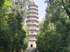 -灵谷景区