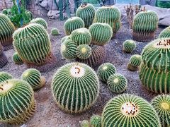 -北京植物园-展览温室