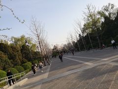 -迎泽公园