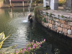 -丝绸小镇荻港古村