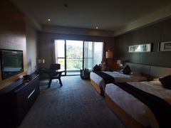 -河源万绿湖美思威尔顿酒店
