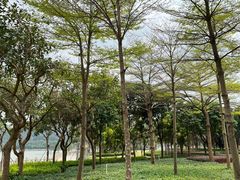 -顺峰山公园