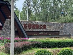 -东郊湿地公园