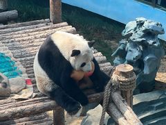 -大连森林动物园