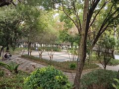 -九龙寨城公园