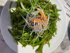 -菌自由丨野生菌火锅特色庭院餐厅(丽江古城店)