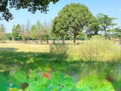 -广富林郊野公园