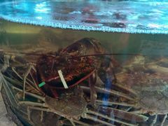 -蟹之国·精品蟹料理(极地店)