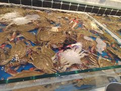 -川骄海鲜自助(河东店)