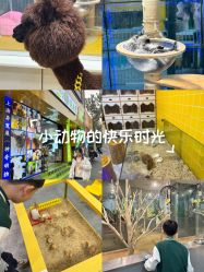 -神奇动物撸宠馆·羊驼·小浣熊·异宠(豫园店)