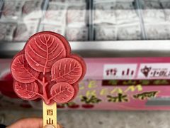 -香山公园