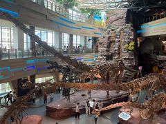 -安徽省地质博物馆