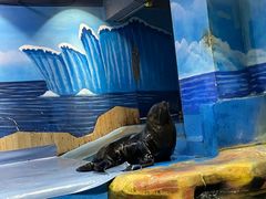 -顺德南宏海立方海洋公园