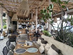 -Coco Tam’s