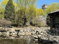 -三忘湖 SWANSEEN(柳荫公园店)