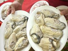 -花苑美食横琴生蚝火锅(拱北粤华路店)