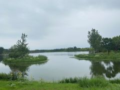 -东郊湿地公园