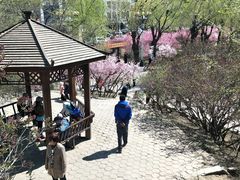 -建国公园