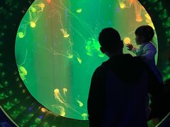 -成都浩海立方海洋公园