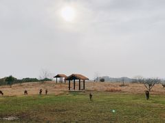 -良渚文化村