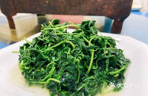 Sauce-Infused Water Spinach