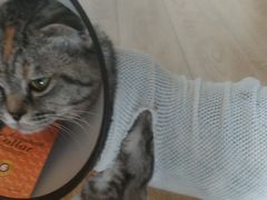 -安安宠医·安宠宠物医院