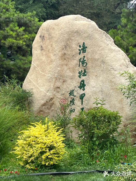 西苑公园图片
