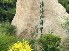 -西苑公园
