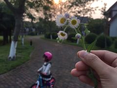 -太阳岛度假酒店