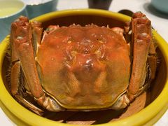 -蝶园·装修中(BFC外滩金融中心店)