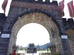 -铁山坪森林公园