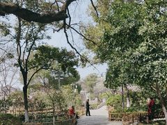 -常熟方塔园