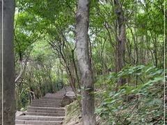 -紫金山山顶公园