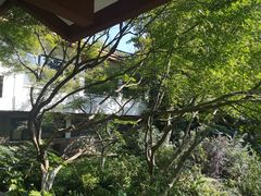 -中国茶叶博物馆(双峰馆区)