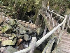 -藏龙百瀑风景区