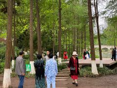 -重庆彩云湖湿地公园