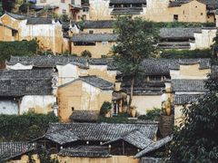 -杨家堂村