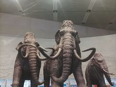 -大庆市博物馆