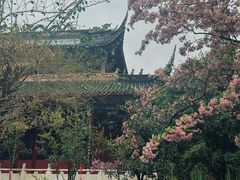 -南岳明心寺