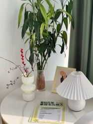 -凡碧诗毛孔清洁收细