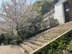 -苏州上方山国家森林公园