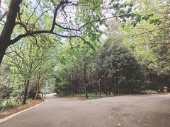 -昆明植物园