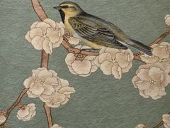 -靓靓蒸虾·头牌蒸虾(雪松路总店)