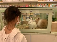 -龙猫仔乐园(惠福东路店)