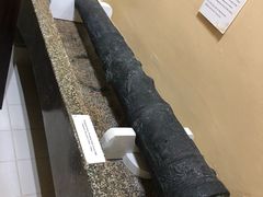 -北马里亚纳群岛博物馆