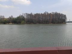 -东湖落雁景区