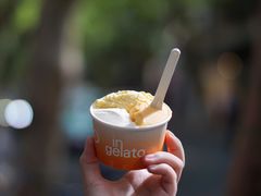 柿子-Dip in Gelato(富民路店)