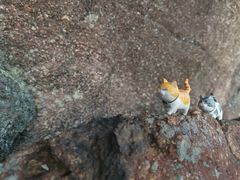 -玻璃桥景区石牛寨