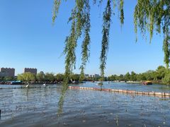 -济南大明湖景区