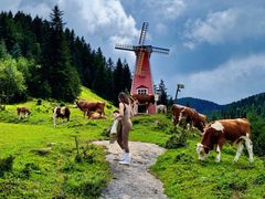 -芦芽山旅游度假区